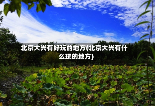 北京大兴有好玩的地方(北京大兴有什么玩的地方)-第1张图片
