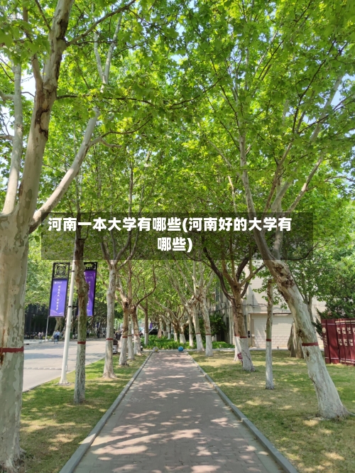 河南一本大学有哪些(河南好的大学有哪些)-第2张图片