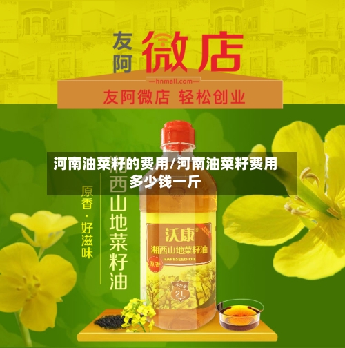 河南油菜籽的费用/河南油菜籽费用多少钱一斤-第2张图片
