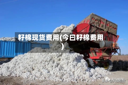 籽棉现货费用(今曰籽棉费用)-第3张图片