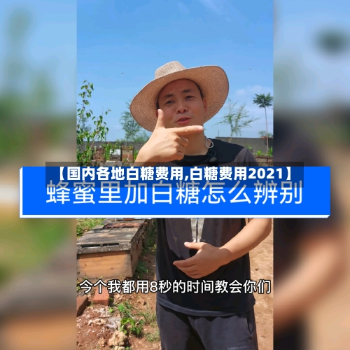 【国内各地白糖费用,白糖费用2021】-第2张图片