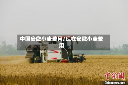 中国安徽小麦费用/现在安徽小麦费用-第2张图片