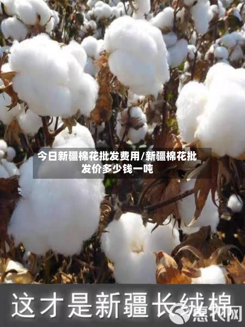 今日新疆棉花批发费用/新疆棉花批发价多少钱一吨-第3张图片