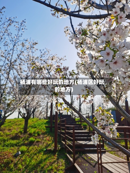 杨浦有哪些好玩的地方(杨浦区好玩的地方)-第2张图片