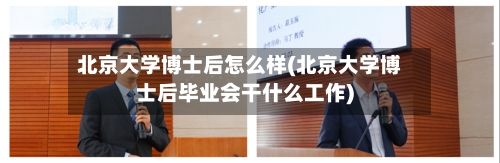 北京大学博士后怎么样(北京大学博士后毕业会干什么工作)-第3张图片